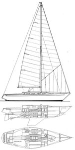 Ranger 37 Drawing