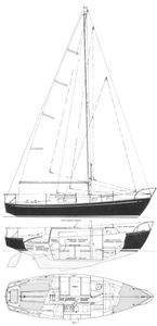 Morgan 30 Drawing