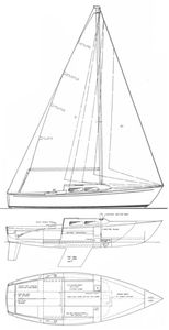 Santana 22 Drawing