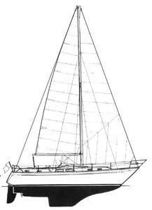 Countess 37 (Colvic) Drawing