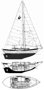 Mariah 31 Drawing