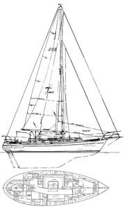 Baba 40 Drawing