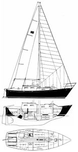 Vancouver 27 Drawing