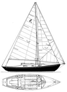 Classic 31 Drawing