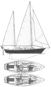 Shannon 38 Drawing