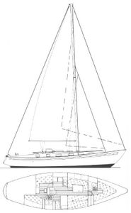 Rival 41 Drawing