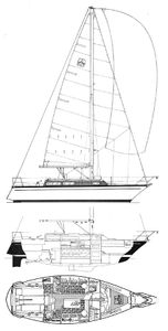 Dufour 31 Drawing