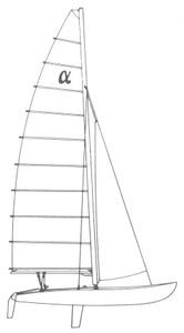 Alpha Cat 18 Drawing