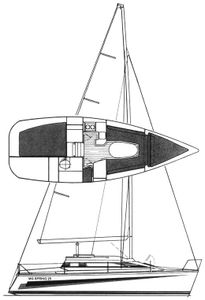 MG Spring 25 Drawing