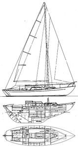 Trintella I Drawing