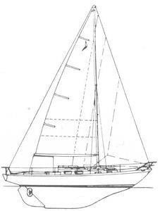 Trintella 29 Drawing