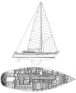 Dynamique 52 Drawing