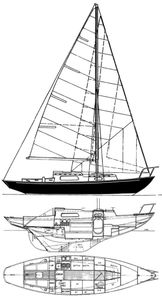 Elizabethan 29 Drawing