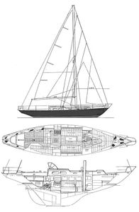 Queen 38 (Buchanan) Drawing
