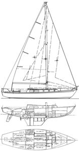 Cal 40 Drawing
