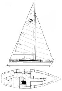 Maxi 33 Drawing