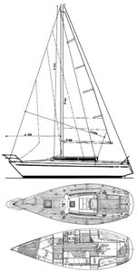 Show 29 Drawing