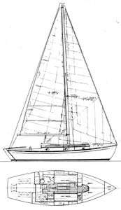 Annie 30 Drawing