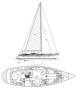 Tayana 64 Drawing