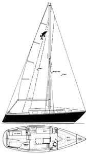 Pacific Dolphin 28 Drawing