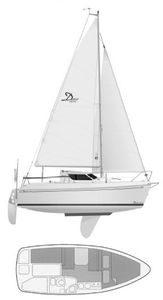 Delphia 22 Drawing