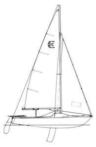 Conger Drawing