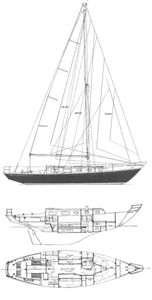 Black Watch 37 Drawing
