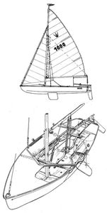 Koralle Drawing