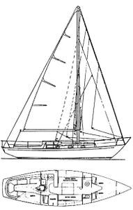 Elizabethan 35 Drawing