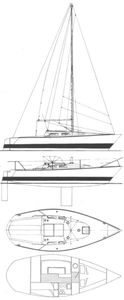 Evolution 26 Drawing