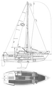 Maxi 77 Drawing