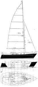 Freedom 30 Drawing
