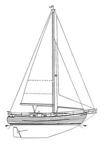 Young Sun 35 Drawing