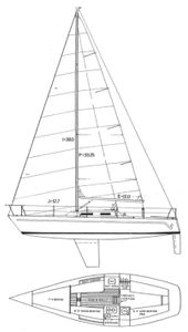 Evelyn 32 Drawing