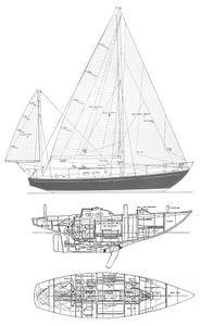 Invicta (Tripp) Drawing