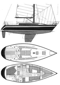 Furia 32 Drawing