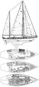 Shannon 43 Drawing