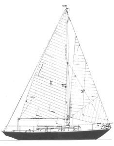 Robb 35 Drawing