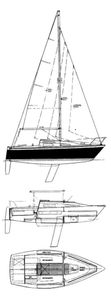 Windrose 18 Drawing