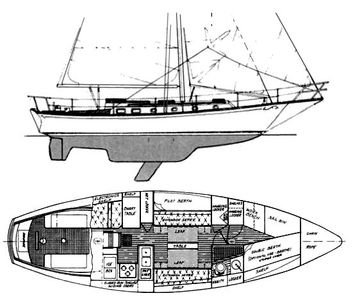Shannon 37 Drawing