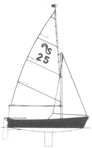 Skunk 11 Drawing