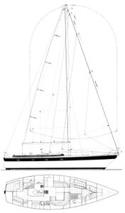 Trintella 44 Drawing