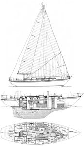 Mason 43 Drawing