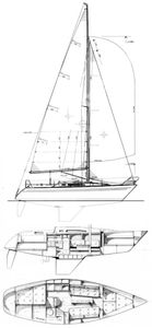 Finngulf 31 Drawing