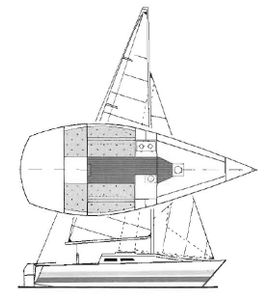 Evolution 22 Drawing