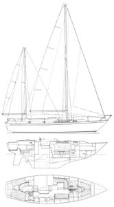 Nicholson 39 Drawing