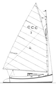 Cape Cod Cat Drawing