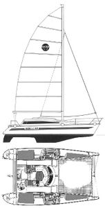 Edel Cat 33 Drawing