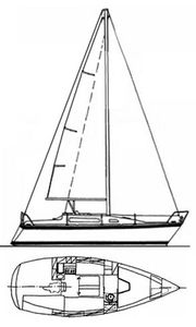 Aloa 27 Drawing