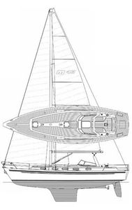 Malo 43 Drawing